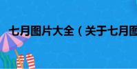 七月图片大全(关于七月图片大全的简介)