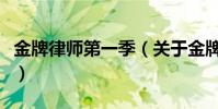 金牌律师第一季(关于金牌律师第一季的简介)