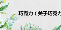 巧克力(关于巧克力的简介)