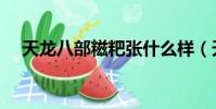 天龙八部糍粑张什么样(天龙八部糍粑)