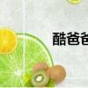 酷爸爸（关于酷爸爸的简介）