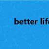 better life（关于better life的简介）