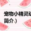 宠物小精灵动画片（关于宠物小精灵动画片的简介）