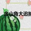金山角大追捕（关于金山角大追捕的简介）