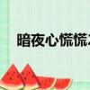 暗夜心慌慌2（关于暗夜心慌慌2的简介）