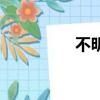 不明（关于不明的简介）