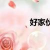 好家伙（关于好家伙的简介）