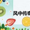 风中传奇（关于风中传奇的简介）