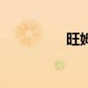旺姆（关于旺姆的简介）