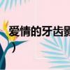 爱情的牙齿影评（关于爱情的牙齿影评的简介）
