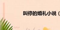 叫停的婚礼小说(叫停)