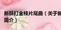 新醉打金枝片尾曲(关于新醉打金枝片尾曲的简介)