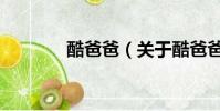 酷爸爸(关于酷爸爸的简介)
