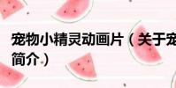 宠物小精灵动画片(关于宠物小精灵动画片的简介)
