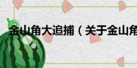 金山角大追捕(关于金山角大追捕的简介)
