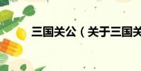 三国关公(关于三国关公的简介)
