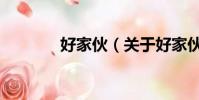 好家伙(关于好家伙的简介)