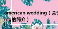 american wedding(关于american wedding的简介)
