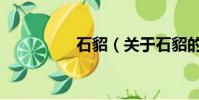 石貂(关于石貂的简介)