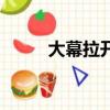 大幕拉开（关于大幕拉开的简介）