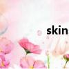 skins（关于skins的简介）