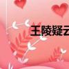 王陵疑云（关于王陵疑云的简介）