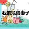 我的危险妻子 （关于我的危险妻子 的简介）