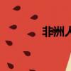 非洲人（关于非洲人的简介）