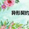 异形契约 （关于异形契约 的简介）