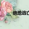 绝地逃亡（关于绝地逃亡的简介）
