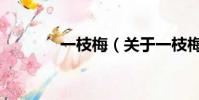 一枝梅(关于一枝梅的简介)