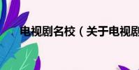 电视剧名校(关于电视剧名校的简介)