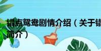 错点鸳鸯剧情介绍(关于错点鸳鸯剧情介绍的简介)