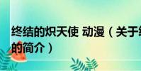 终结的炽天使 动漫(关于终结的炽天使 动漫的简介)