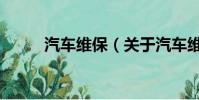 汽车维保(关于汽车维保的简介)