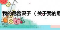 我的危险妻子 (关于我的危险妻子 的简介)