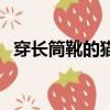 穿长筒靴的猫（关于穿长筒靴的猫的简介）
