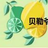 贝勒爷（关于贝勒爷的简介）