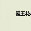 霸王花4（关于霸王花4的简介）
