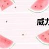 威力（关于威力的简介）