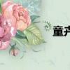 童卉（关于童卉的简介）