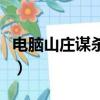 电脑山庄谋杀案（关于电脑山庄谋杀案的简介）