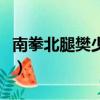 南拳北腿樊少皇（关于南拳北腿樊少皇的简介）