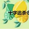 十字追杀令（关于十字追杀令的简介）