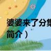婆婆来了分集剧情（关于婆婆来了分集剧情的简介）