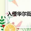 入侵华尔街 （关于入侵华尔街 的简介）