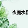 夜魔水晶（关于夜魔水晶的简介）