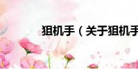 狙机手(关于狙机手的简介)