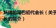 妖精的尾巴初代会长(关于妖精的尾巴初代会长的简介)