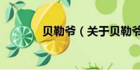 贝勒爷(关于贝勒爷的简介)